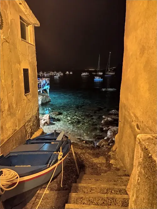 Scilla at night