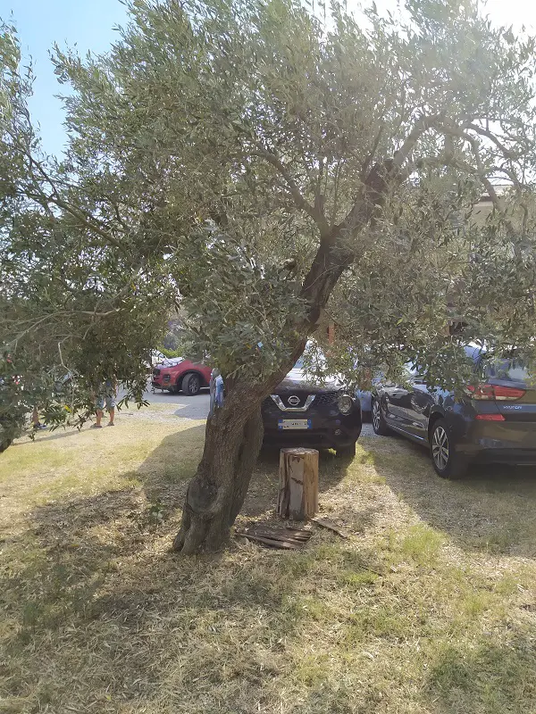 Parking at the agriturismo
