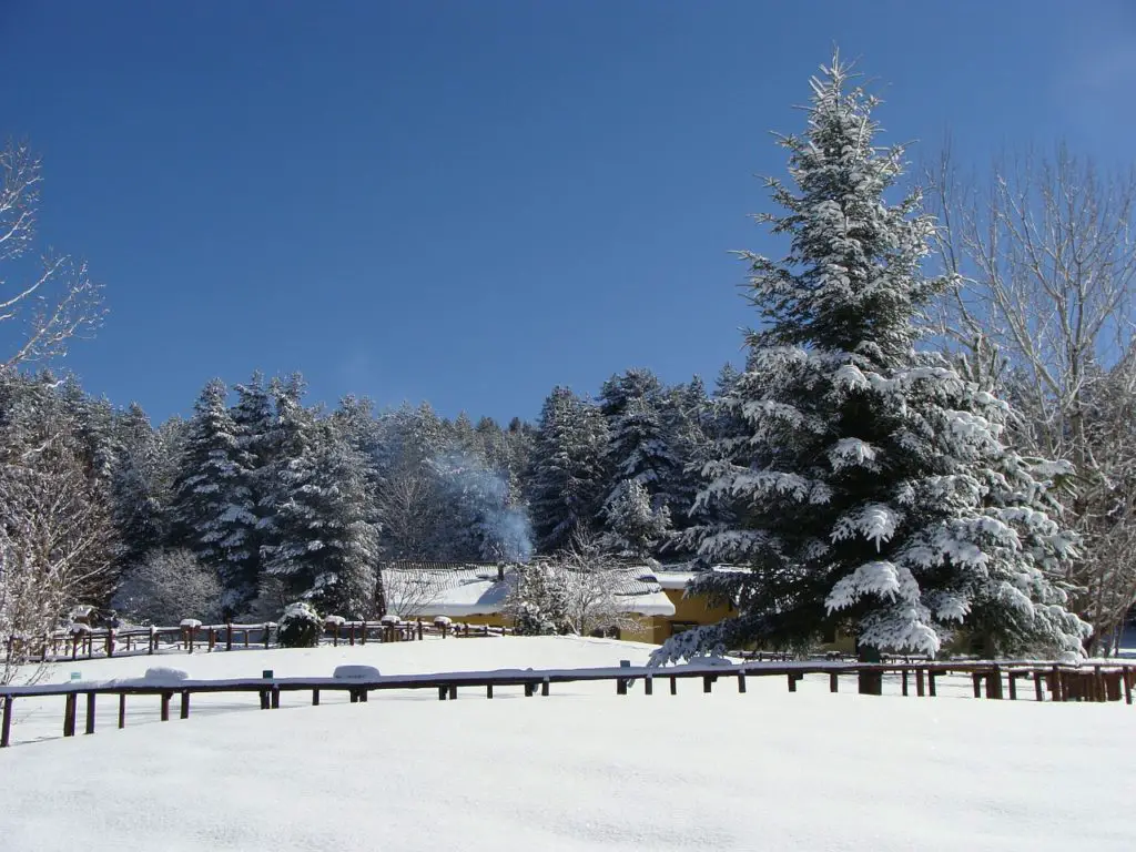 Winter holidays in Calabria