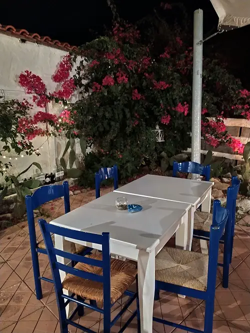 Painting bougainvillea flowers