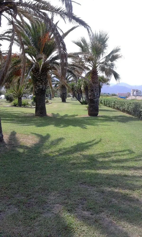 well manicured gardens in Tonnarella