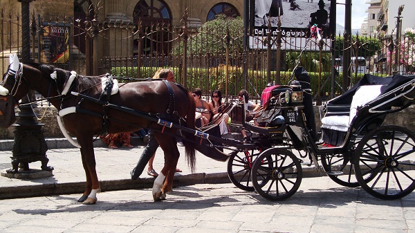 A horse and cart ride