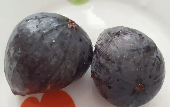 mulberry-coloured figs in Calabria