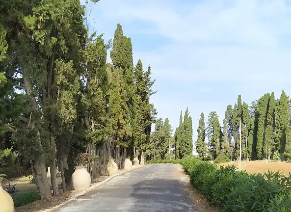 Greenery in Castelvetrano with pottery for plants