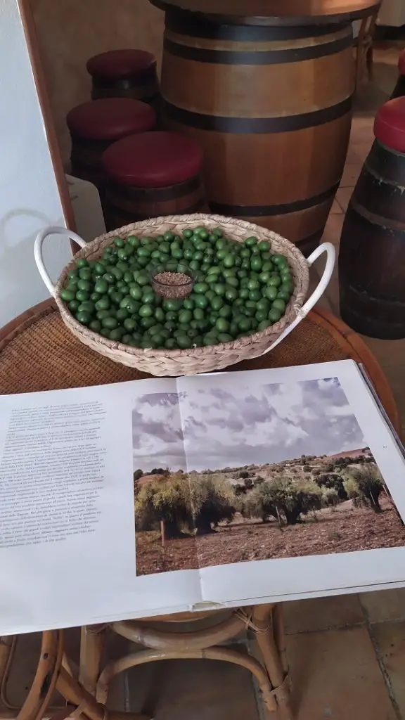 The bright green olives of Castelvetrano