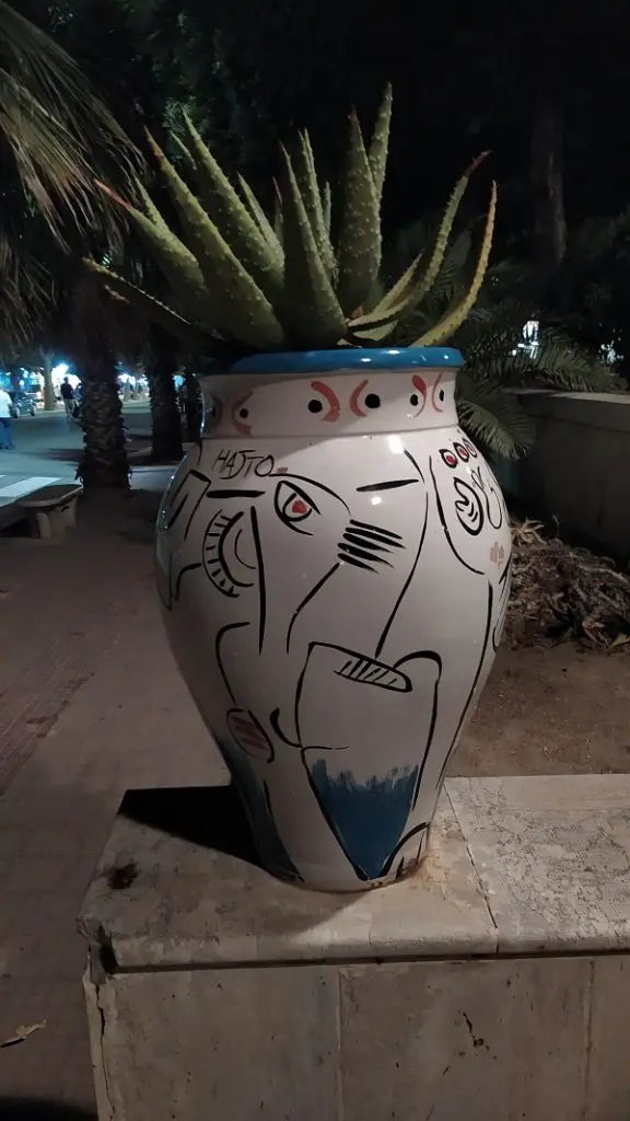 Pottery for plants in Mazara del Vallo with typical vegetation of the area