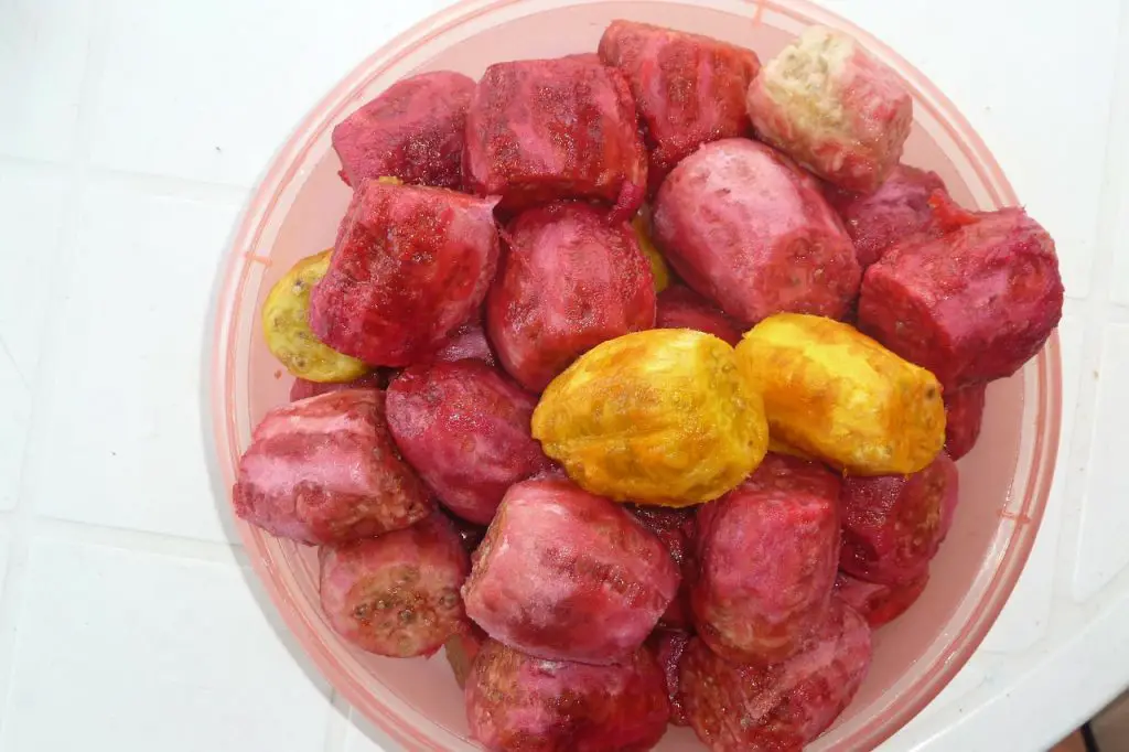 Prickly pear fruits peeled