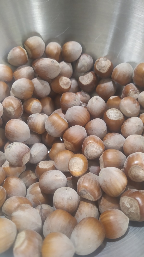 Hazelnuts in southern Italy The delights of Southern Italy